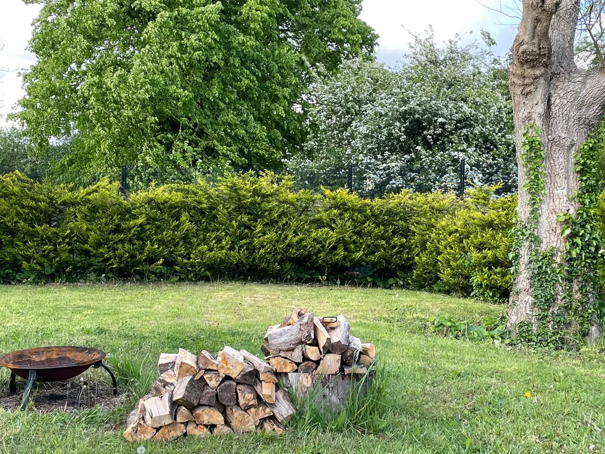 A stacked log pile and fire bowl on the lawn beside a hedge and tall trees