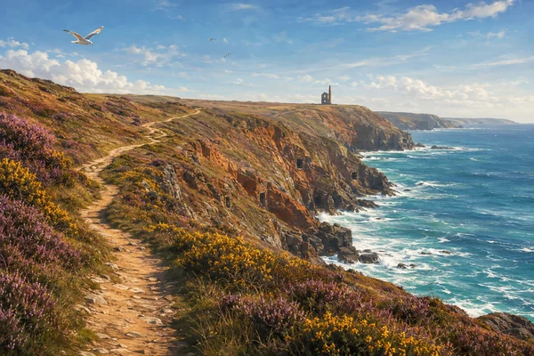 The Perranporth to St Agnes Coast Path: Mines, Smugglers and Sea Caverns