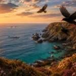 Cornwall’s Wildlife Calendar: What to See Month by Month